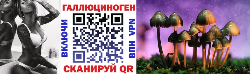 Псилоцибиновые грибы мухоморы площадка формула Горячеводский